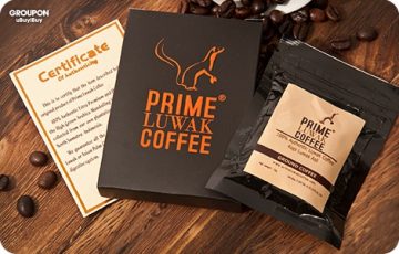Prime luwak coffee sachet