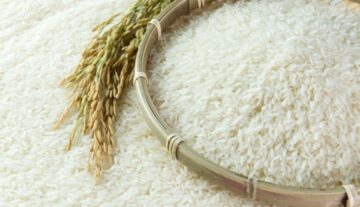 Kepoin-Fakta-Beras-dan-Kandungan-Nutrisi-Didalamnya