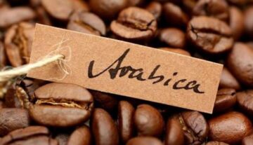 Sejarah Kopi Arabika di Indonesia, Kopi Ternikmat Di Dunia