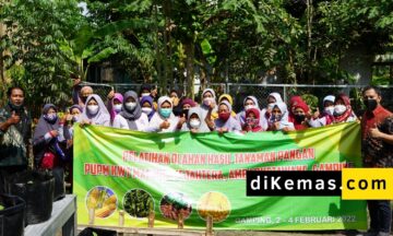 pelatihan-olahan-hasil-tanaman-pangan-pupm-kwt-makmur-sejahtera